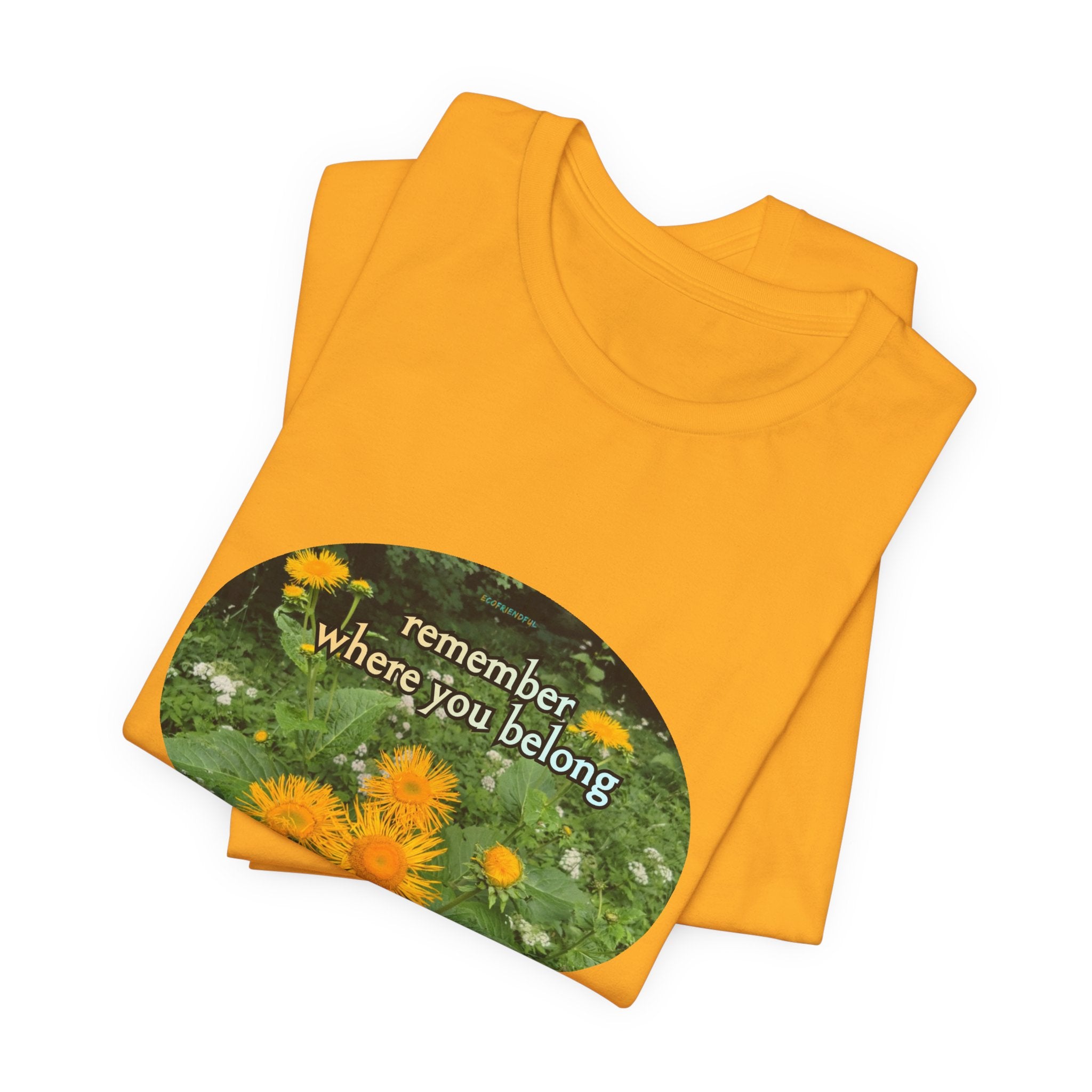 Unisex Jersey Short Sleeve Tee