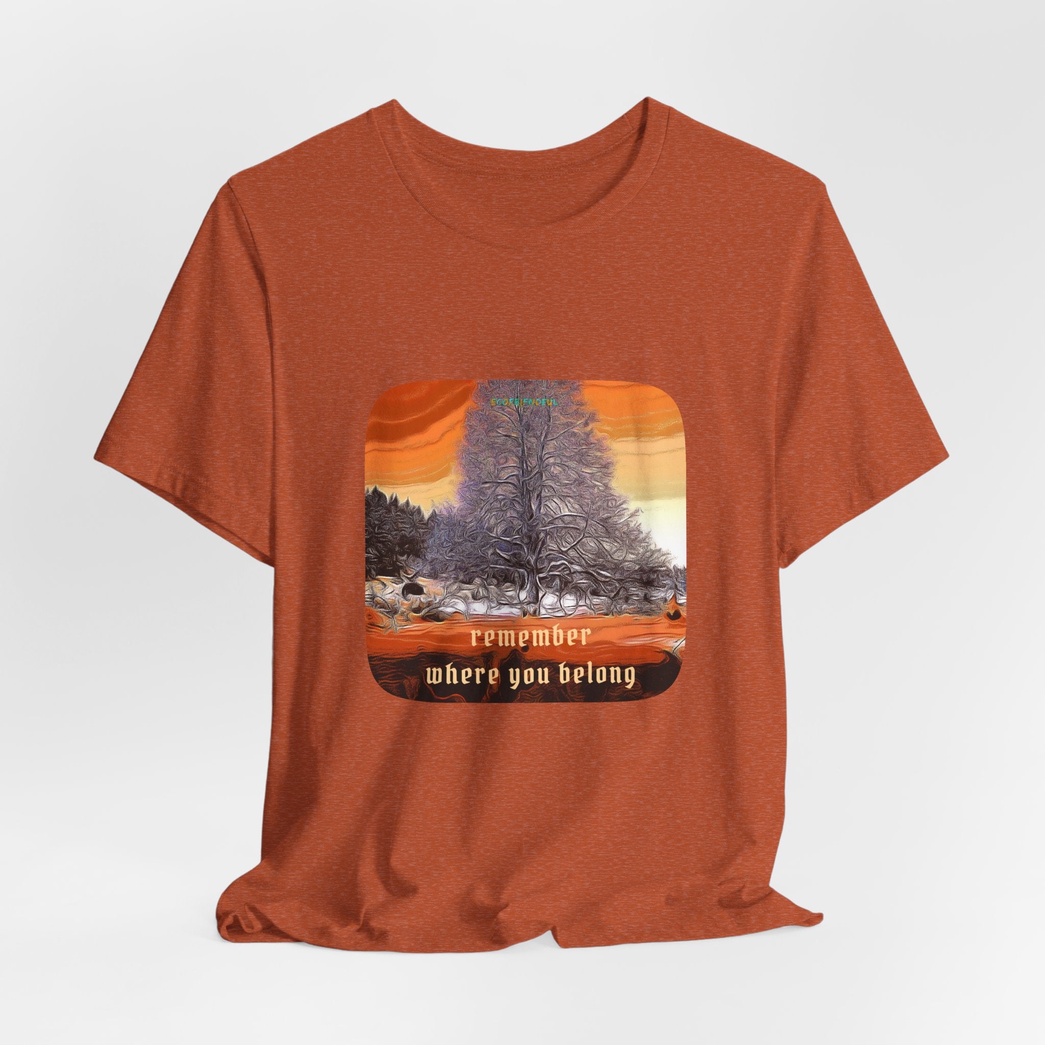 Unisex Jersey Short Sleeve Tee