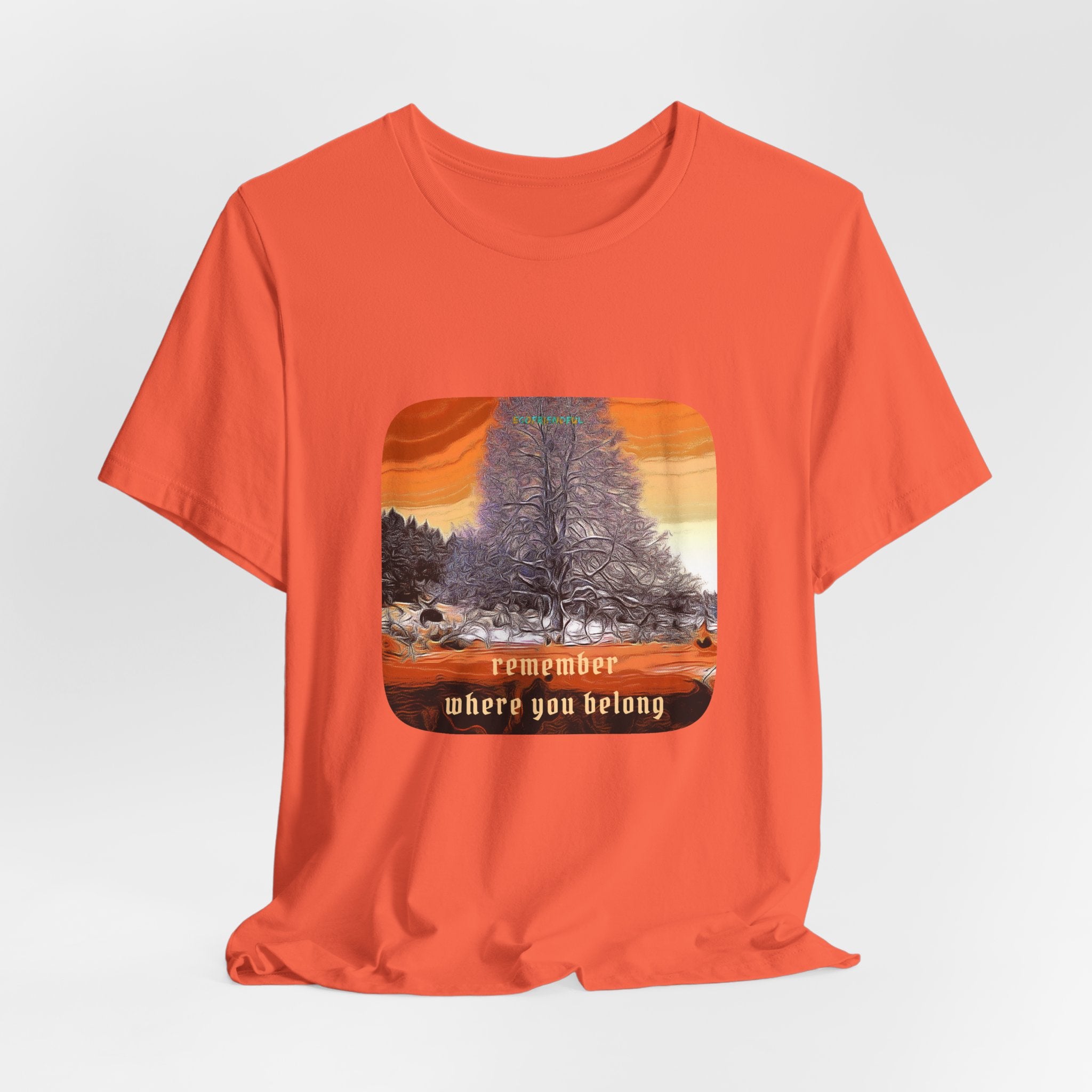Unisex Jersey Short Sleeve Tee