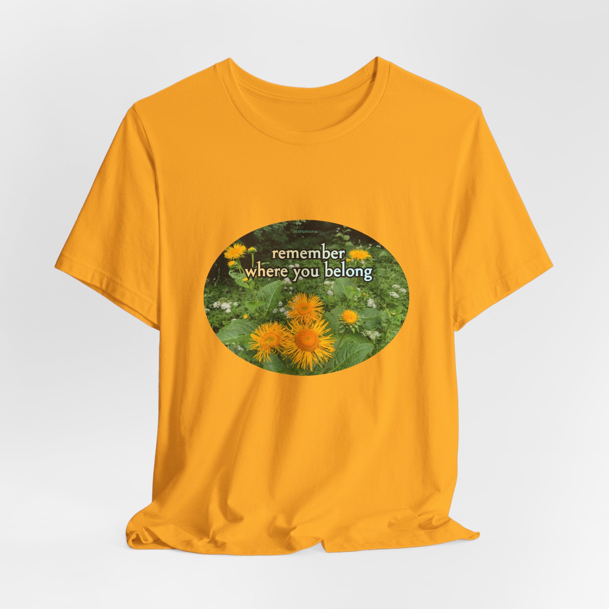 Unisex Jersey Short Sleeve Tee