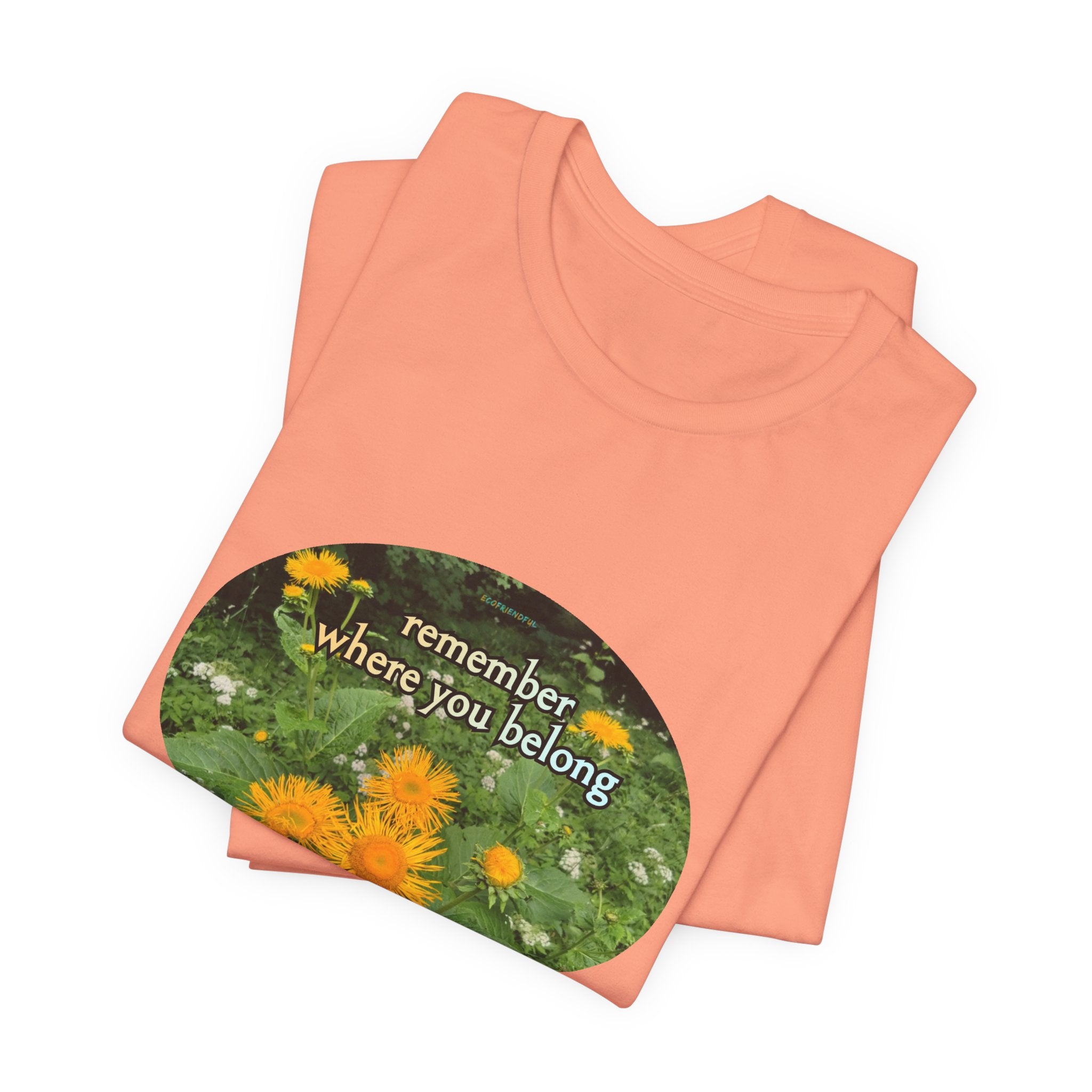 Unisex Jersey Short Sleeve Tee